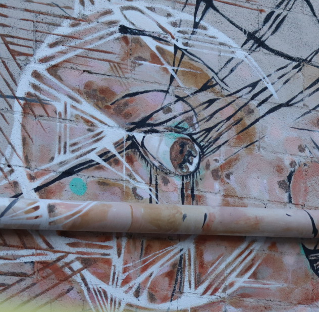 Monochromatic Study